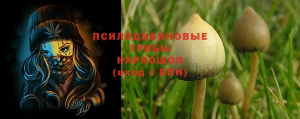 дмт Зерноград